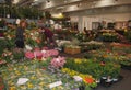 Plant Stall at Pollice Verde Royalty Free Stock Photo