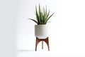Plant Stand Scandinavian Style On White Background. Generative AI