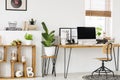 Plant on stool next to wooden desk with desktop computer in whit Royalty Free Stock Photo