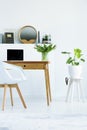 Plant on stool next to wooden desk with laptop in white home off