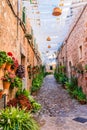 Plant street in beautiful village Valldemossa on Majorca, Spain Royalty Free Stock Photo