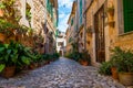 Plant Street in Valldemossa, Majorca