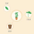 Plant structure vector banner template. Biology lesson equipment, tool, placard explaining root, stalk, leaf elements