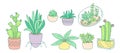 Plant succulent potted flat color line cartoon set