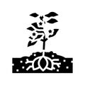 plant sweet potato glyph icon vector illustration