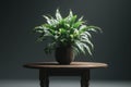 plant on the table Royalty Free Stock Photo