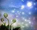 Plant tendrils on night fantasy background Royalty Free Stock Photo