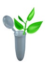 Plant in test-tube Royalty Free Stock Photo