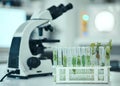 Plant, test tube and laboratory science study of biotechnology, pharmaceutical product or natural drugs innovation. Agro