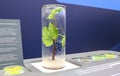 Plant in a test tube