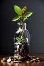 A plant on top of a bottle filled with coins