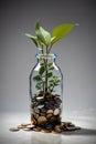 A plant on top of a bottle filled with coins