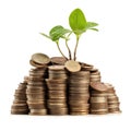 Plant or tree grows on stack of coins,Finance, account, saving, and investment concept,AI generated