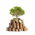 Plant or tree grows on stack of coins,Finance, account, saving, and investment concept,AI generated