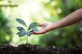 Plant a tree natural background Plant Coffee seedlings in nature green fresh Royalty Free Stock Photo