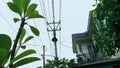 Electric poles with cables stretched in front of the building