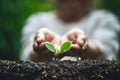 Plant a tree,Old hand Watering small trees Coffee tree Royalty Free Stock Photo