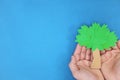 Plant a tree, reforestation, csr, corporate social responsibility concept. Young male hands holding a tree in blue background.