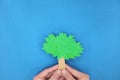 Plant a tree, reforestation, csr, forest watershed concept. Young male hands holding a tree in blue background. Royalty Free Stock Photo