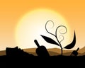 plant a tree;silhouette planting tree background;sunset with growing plant Royalty Free Stock Photo