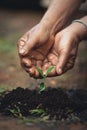 Plant a tree the soil and seedlings in the grandmother`s hand Royalty Free Stock Photo