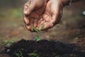 Plant a tree the soil and seedlings in the grandmother`s hand Royalty Free Stock Photo