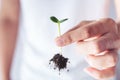 Plant a tree The soil and seedlings in the grandmother`s hand Royalty Free Stock Photo