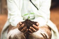 Plant a tree The soil and seedlings in the grandmother`s hand Royalty Free Stock Photo