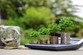 Plant trees on coins and calculators, financial accounting concepts.