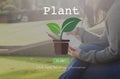 Plant Trees Ecology Environmental Conservation Growing Concept