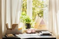 Plant and triangles on window sill in bright workspace interior with posters on desk