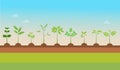 Plant Types grow with nature background Royalty Free Stock Photo