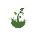 plant vector icon illustration