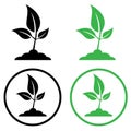 Plant vector icon. sprout illustration sign collection. design illustration on white background. grow symbol. eco logo. Royalty Free Stock Photo