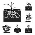 Plant, vegetable black icons in set collection for design. Garden and harvest vector symbol stock web illustration. Royalty Free Stock Photo