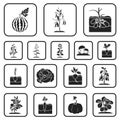 Plant, vegetable black icons in set collection for design. Garden and harvest vector symbol stock web illustration. Royalty Free Stock Photo