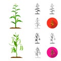 Plant, vegetable cartoon,black,flat,monochrome,outline icons in set collection for design. Garden and harvest vector Royalty Free Stock Photo