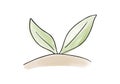 Plant watercolor doodle element, vector illustration