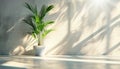 Plant in white pot on concrete wall background. 3d rendering Royalty Free Stock Photo