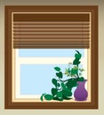 Plant in Window