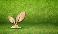 Plant wood icon in grass room,Eco concept