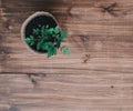 Plant On The Wood Table Royalty Free Stock Photo