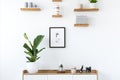 Plant on wooden cupboard in minimal flat interior with poster an Royalty Free Stock Photo