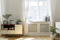 Plant on wooden cupboard in white living room interior with wind