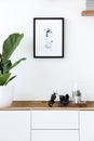 Plant on wooden white cupboard in simple living room interior wi Royalty Free Stock Photo