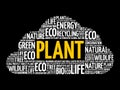 Plant word cloud, conceptual background Royalty Free Stock Photo