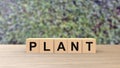 Plant - word wooden cubes on table horizontal over gray background HD Royalty Free Stock Photo