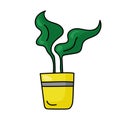 Plant in yellow pot with wide bright green leaves, houseplant in doodle style for design