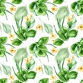 Plantago broadleaf, celandine watercolor seamless pattern isolated on white background. Plantain, green leaves, herb