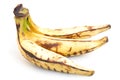 Plantain Banana